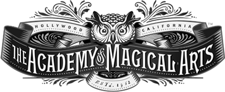 Academy of Magical Arts